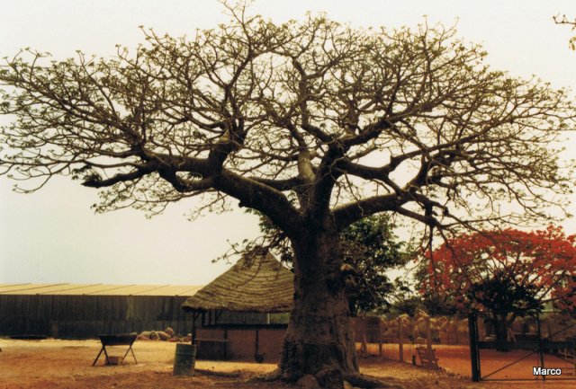 La cité Mermoz à Dakar en 1987